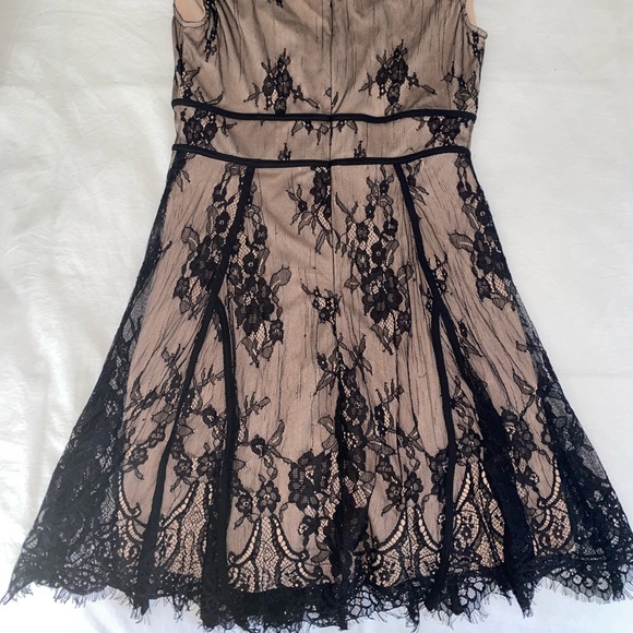 Black and tan Lulu’s lace mini dress - Picture 2 of 3
